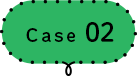 case 02